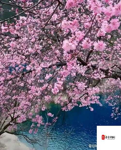 桃花流水芳草萋萋:世外桃源还是人间仙境?